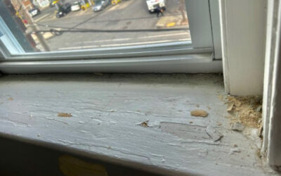 Residential Interior Painting in Salem, MA.
